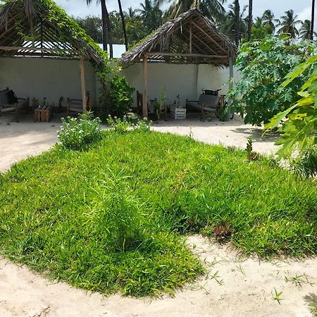 Mambo Leo Hostel باجي المظهر الخارجي الصورة