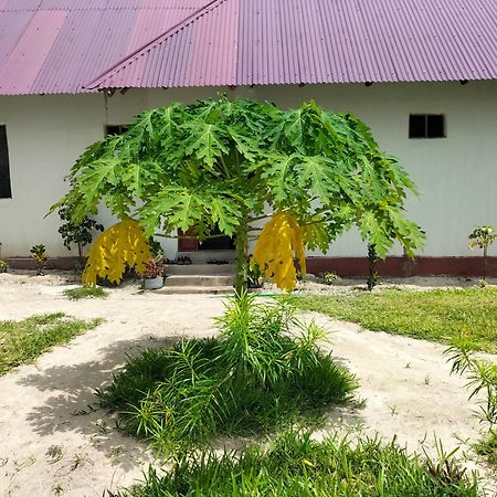 Mambo Leo Hostel باجي المظهر الخارجي الصورة