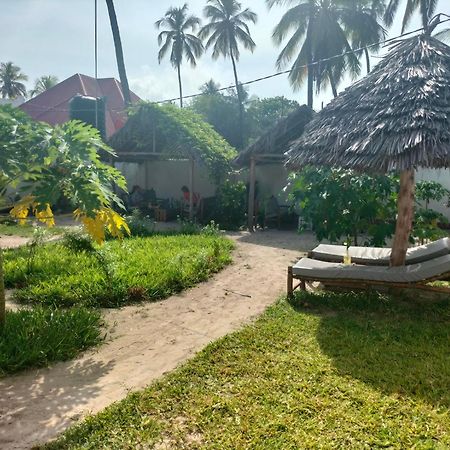 Mambo Leo Hostel باجي المظهر الخارجي الصورة