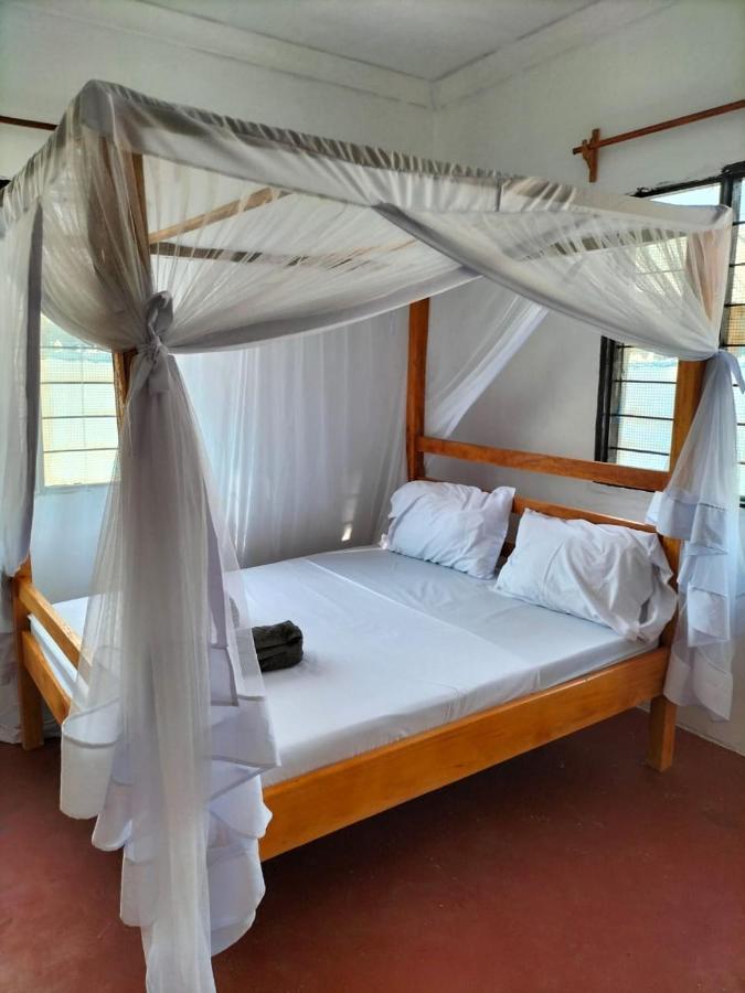 Mambo Leo Hostel باجي المظهر الخارجي الصورة
