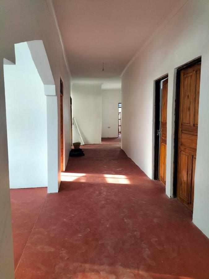 Mambo Leo Hostel باجي المظهر الخارجي الصورة