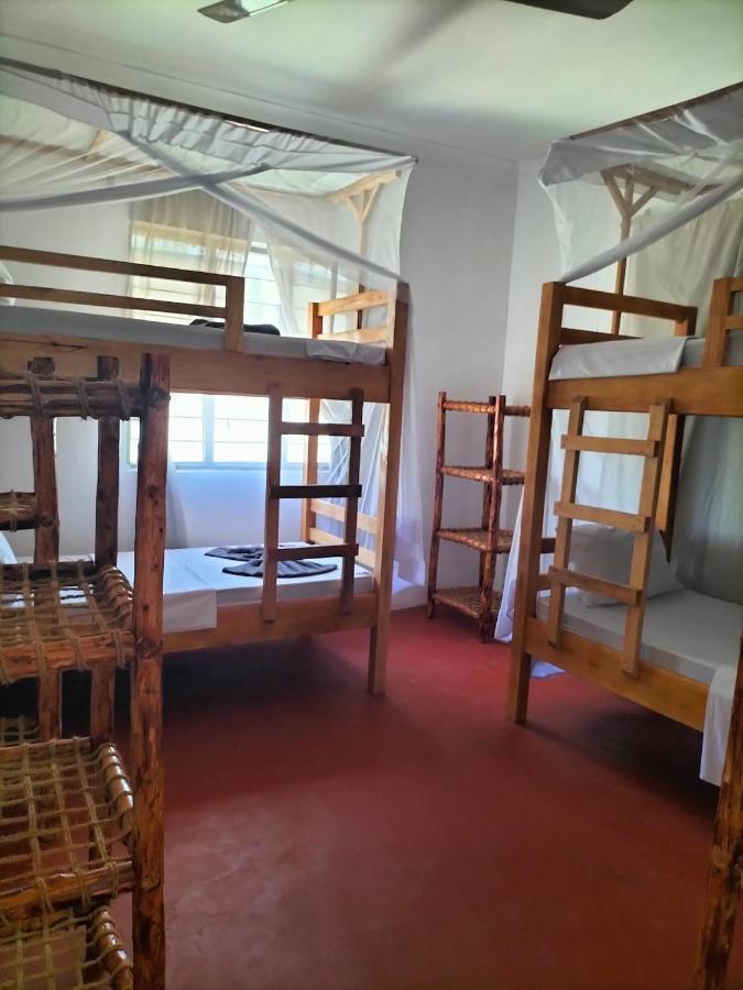 Mambo Leo Hostel باجي المظهر الخارجي الصورة
