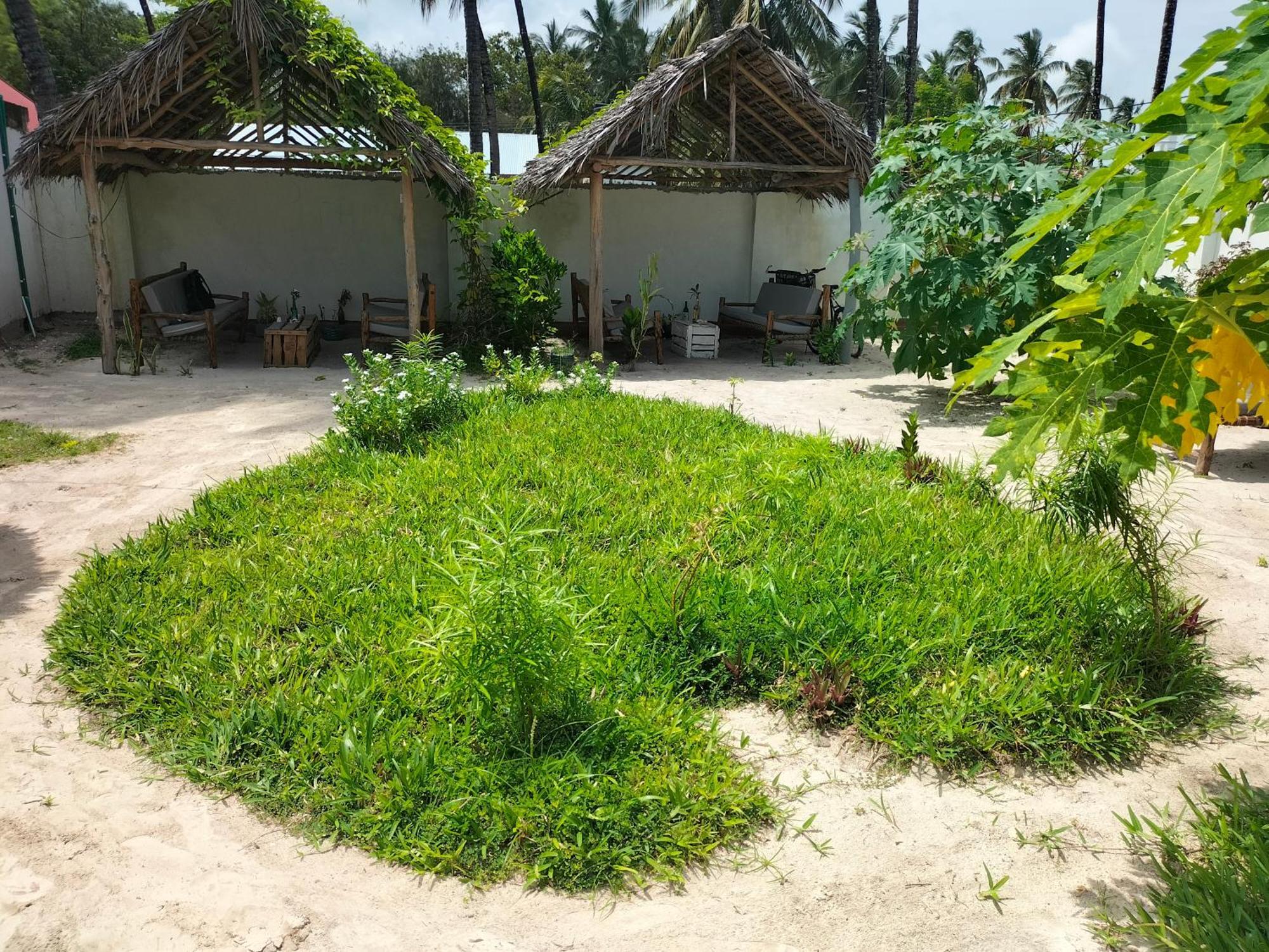 Mambo Leo Hostel باجي المظهر الخارجي الصورة