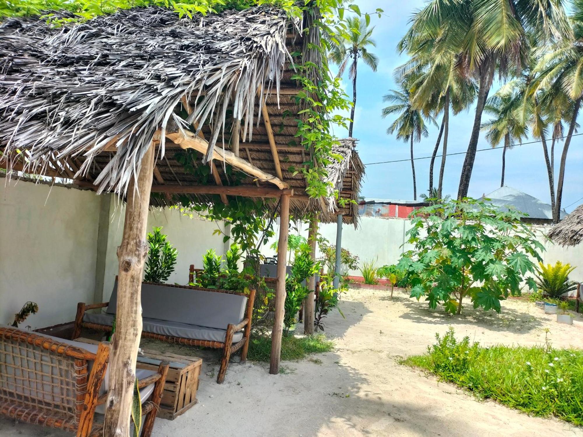 Mambo Leo Hostel باجي المظهر الخارجي الصورة