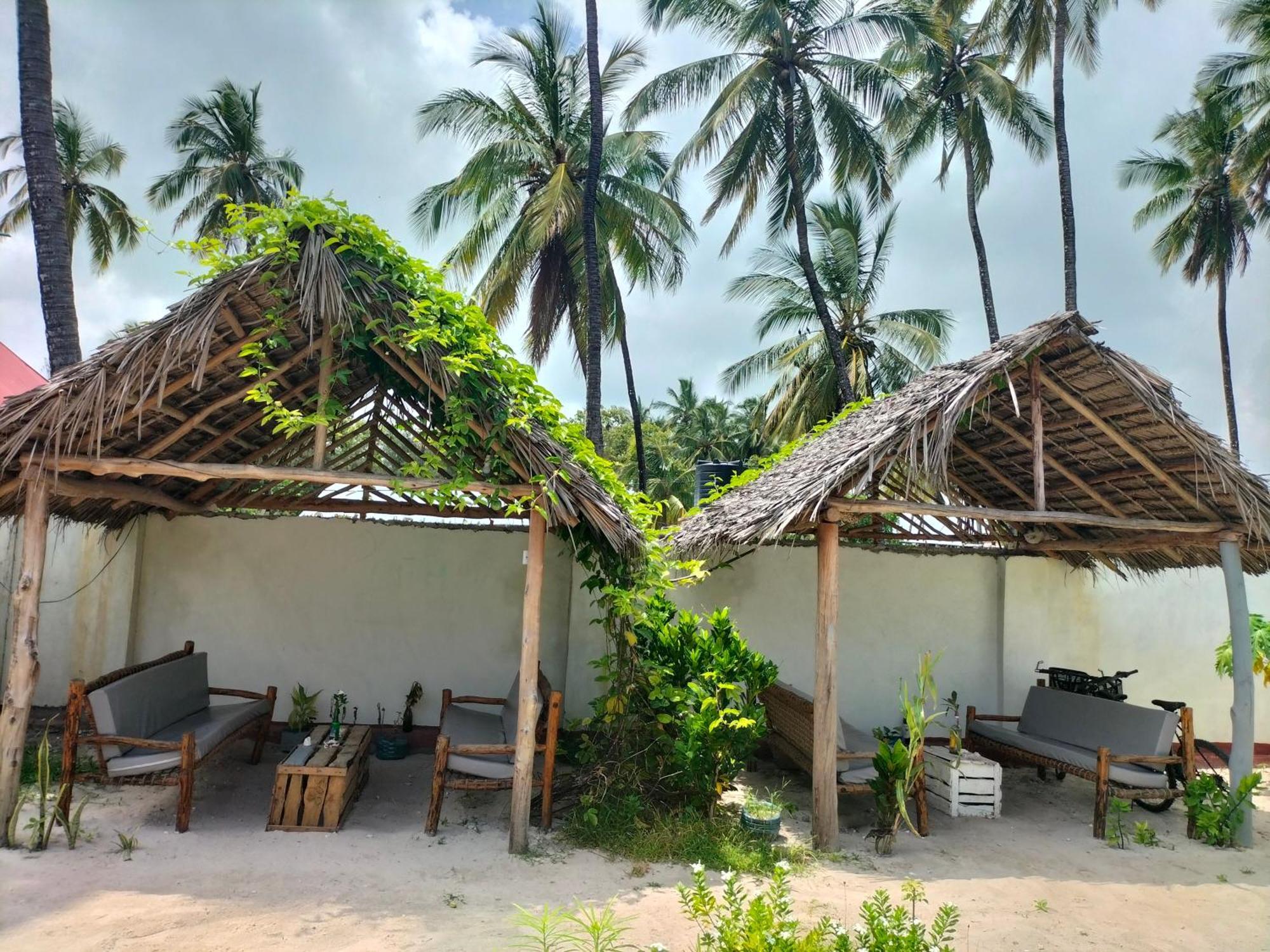 Mambo Leo Hostel باجي المظهر الخارجي الصورة