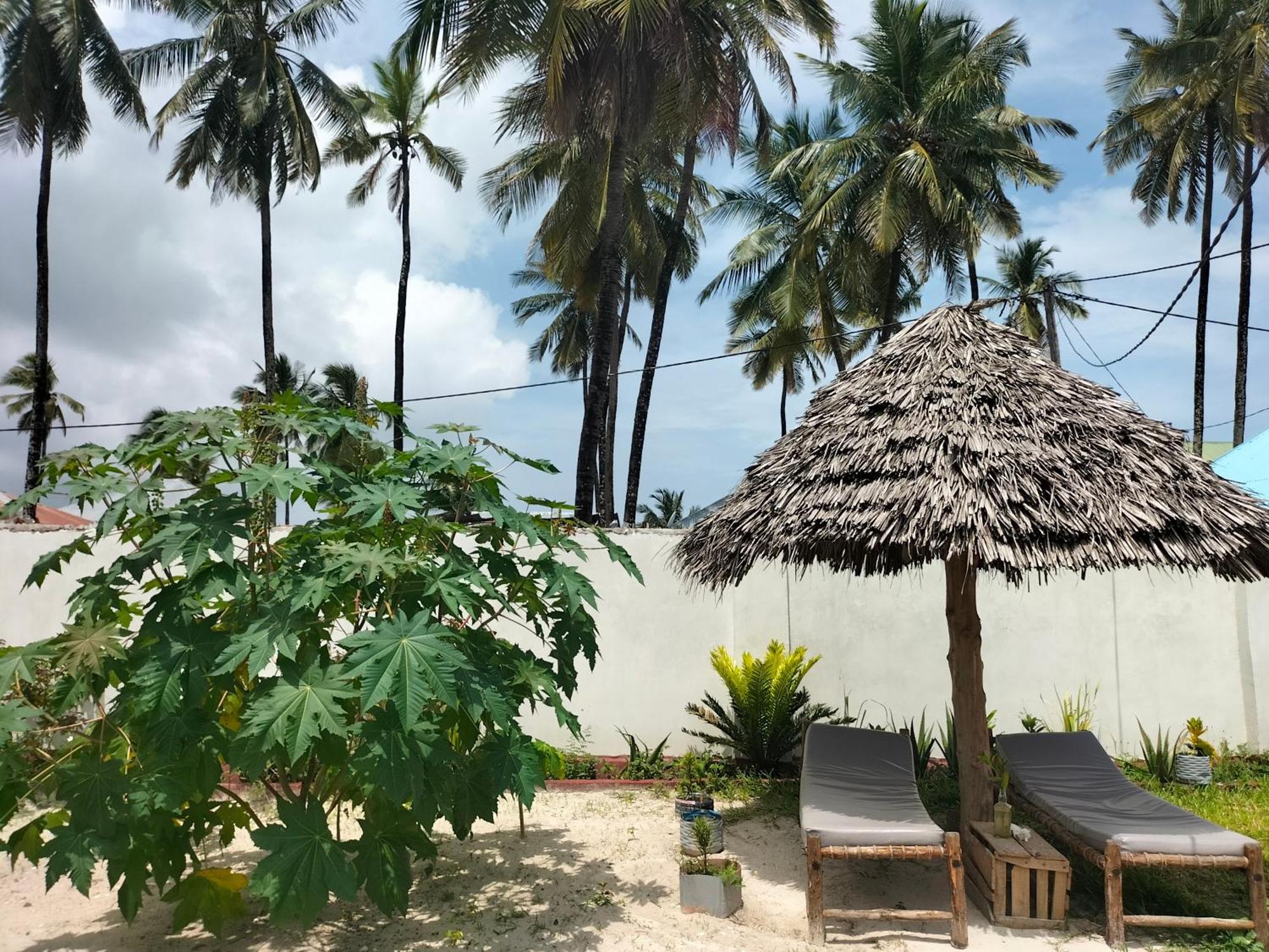 Mambo Leo Hostel باجي المظهر الخارجي الصورة