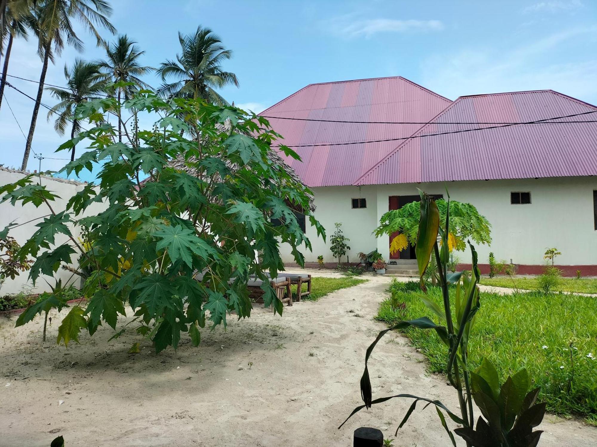 Mambo Leo Hostel باجي المظهر الخارجي الصورة