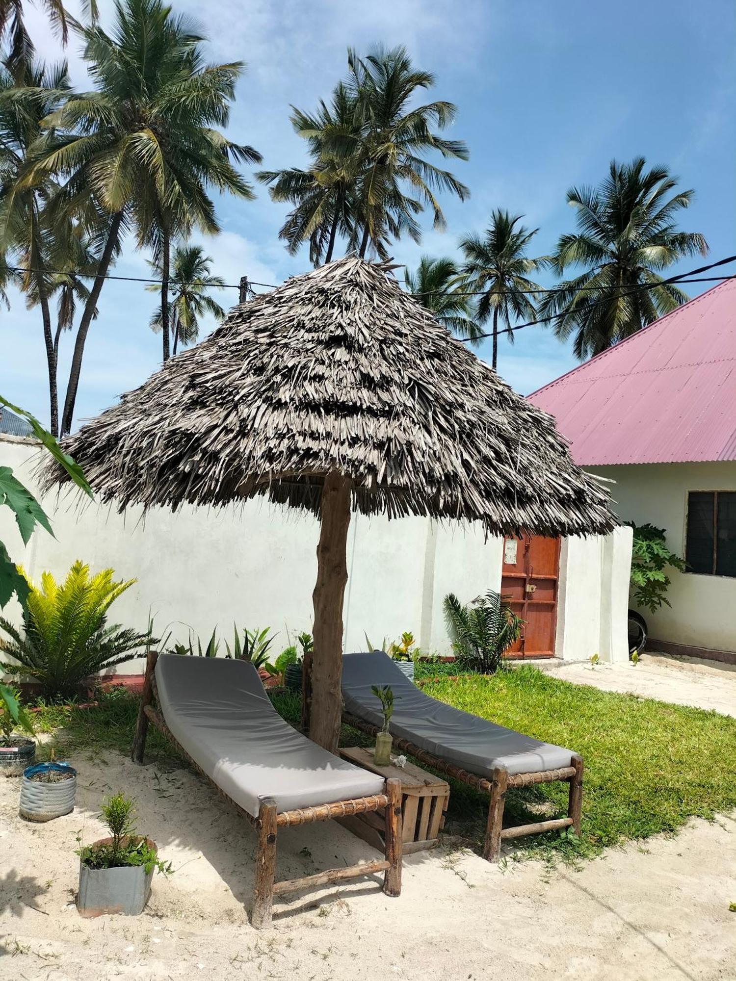 Mambo Leo Hostel باجي المظهر الخارجي الصورة