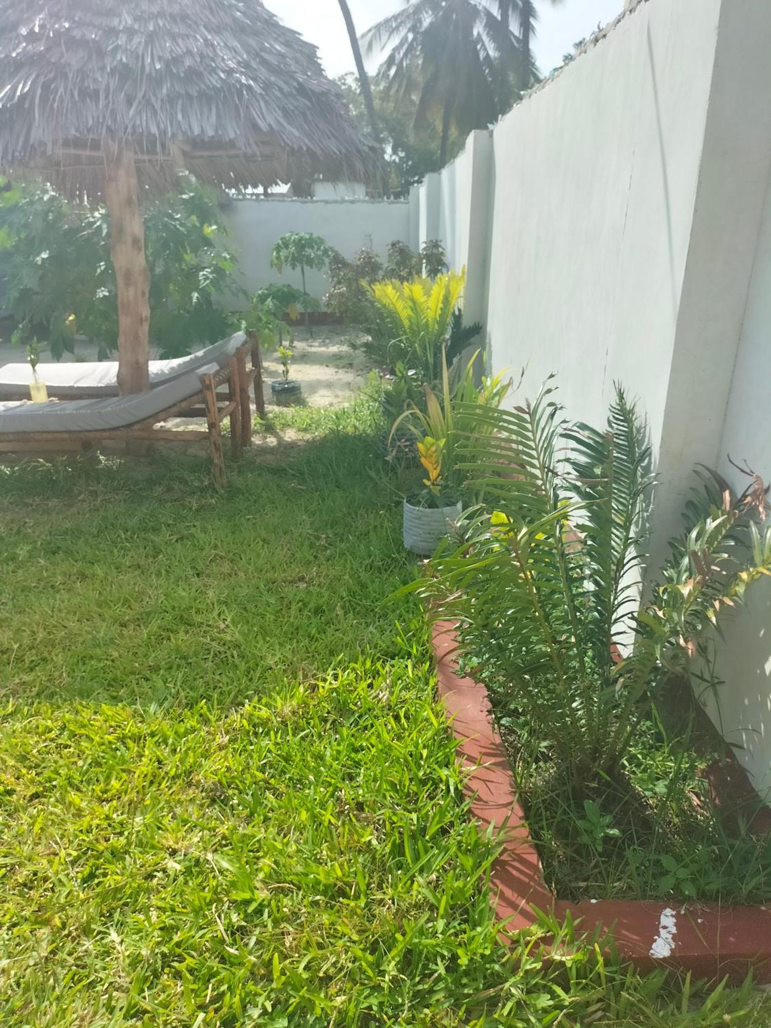 Mambo Leo Hostel باجي المظهر الخارجي الصورة