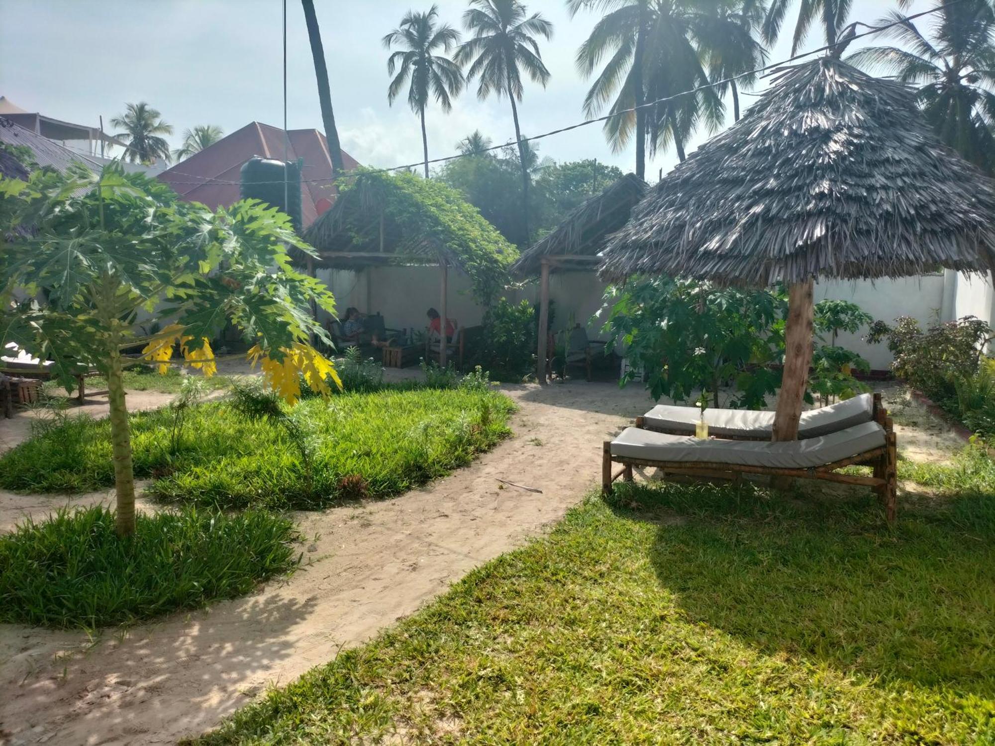 Mambo Leo Hostel باجي المظهر الخارجي الصورة
