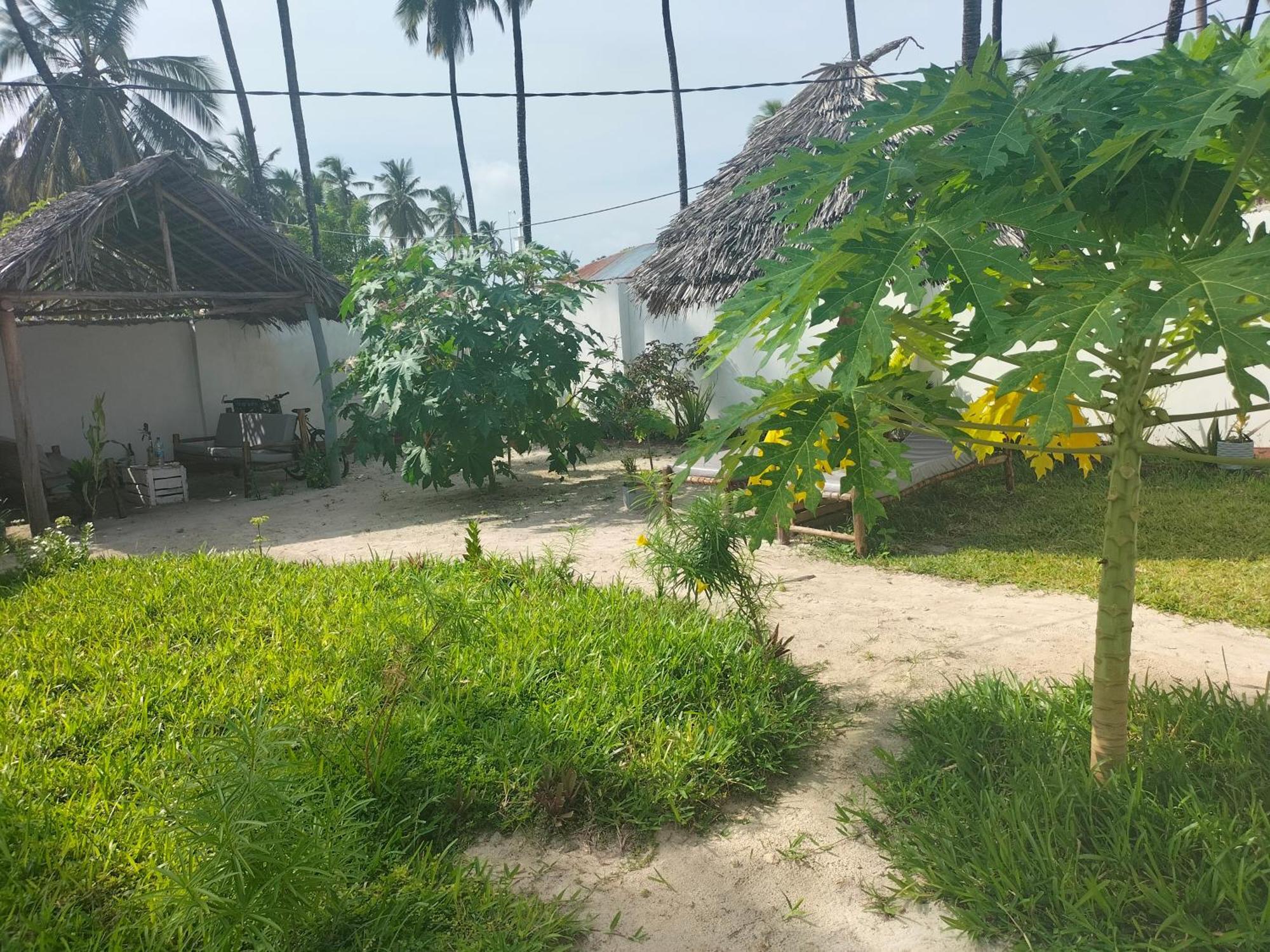 Mambo Leo Hostel باجي المظهر الخارجي الصورة