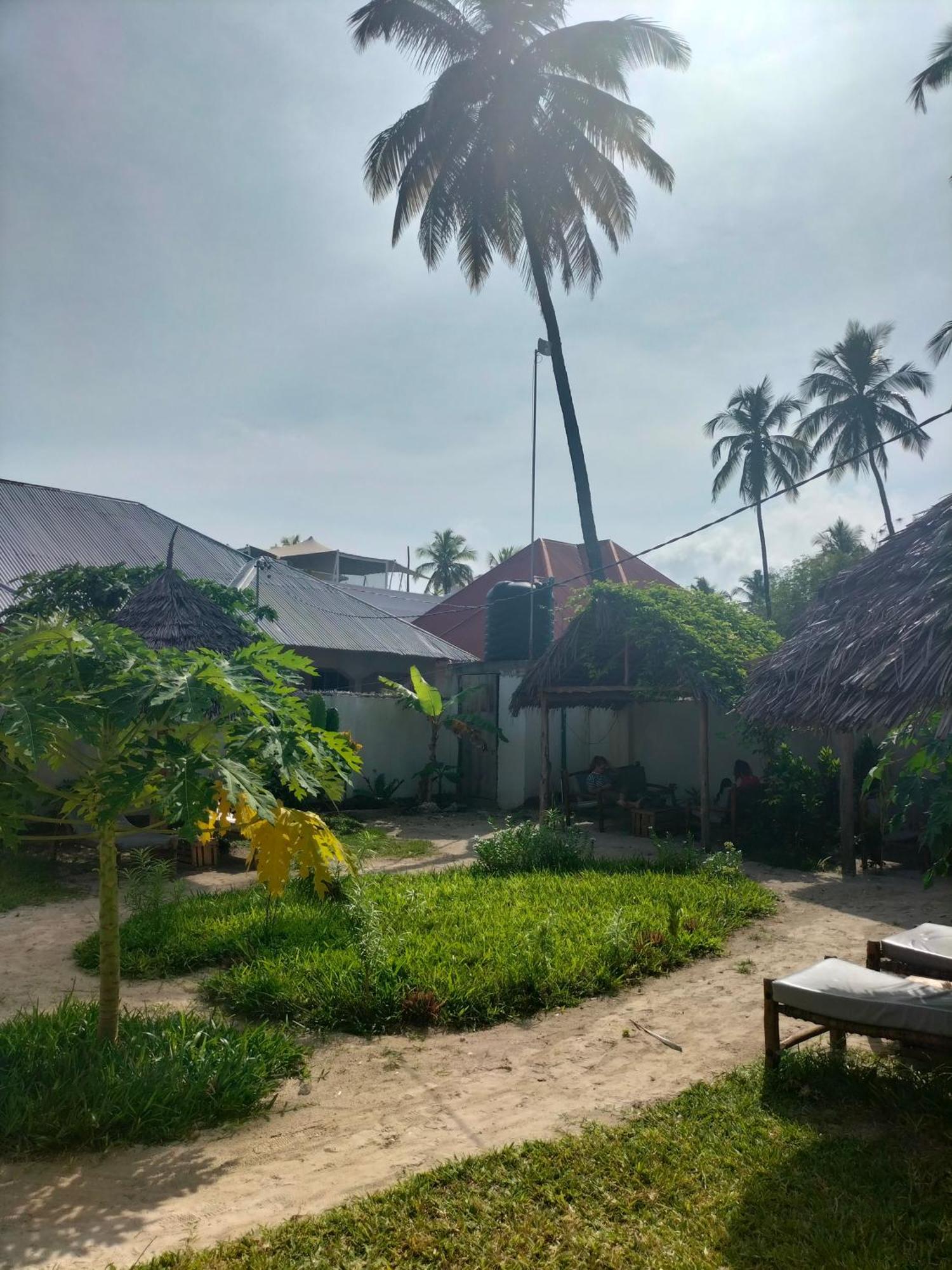 Mambo Leo Hostel باجي المظهر الخارجي الصورة