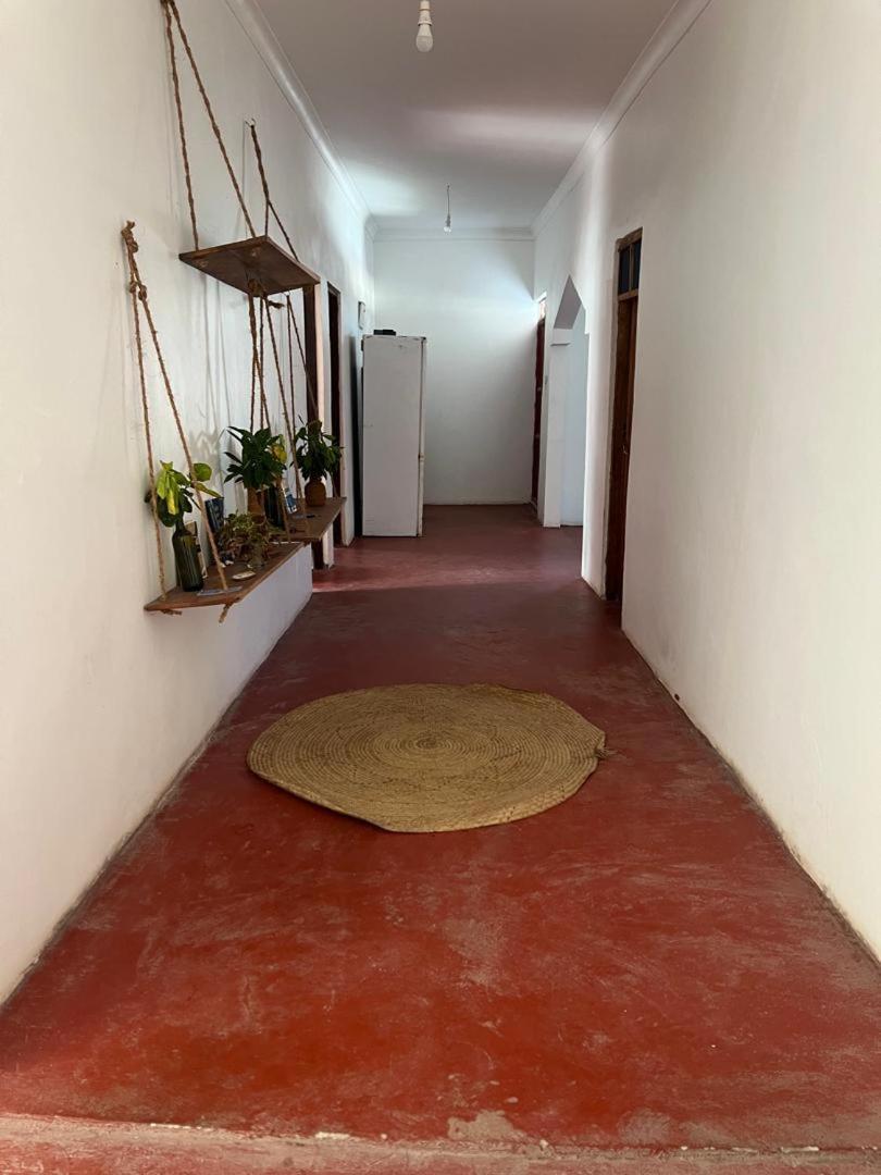 Mambo Leo Hostel باجي المظهر الخارجي الصورة