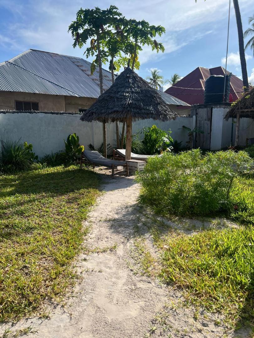 Mambo Leo Hostel باجي المظهر الخارجي الصورة