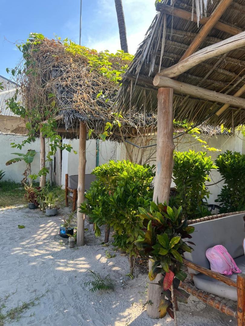 Mambo Leo Hostel باجي المظهر الخارجي الصورة